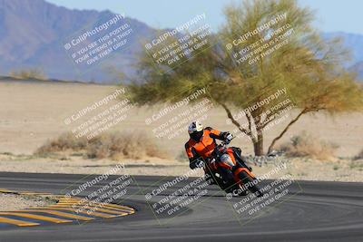 media/Feb-04-2023-SoCal Trackdays (Sat) [[8a776bf2c3]]/Turn 4 (Tree of Life 2pm)/